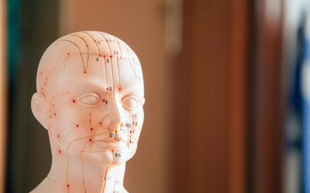 Why Does Your Body Need a Physiotherapist (Even If You Think It Doesn’t)?